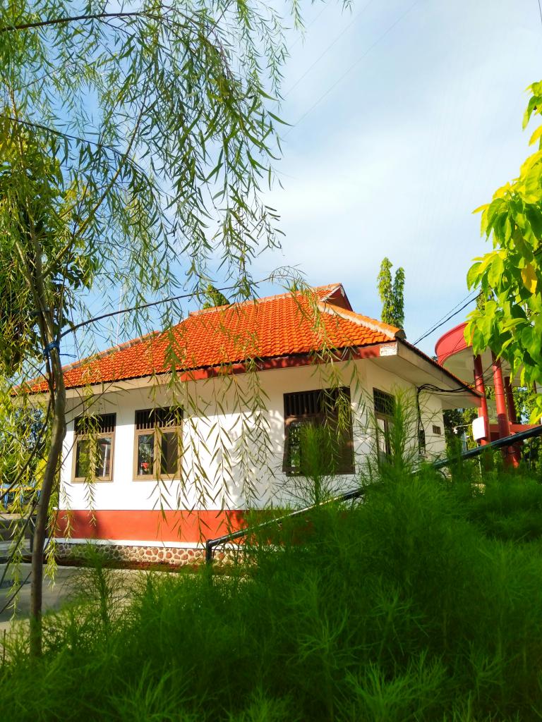 Építkezés menete, lakberendező szemmel - külső kép